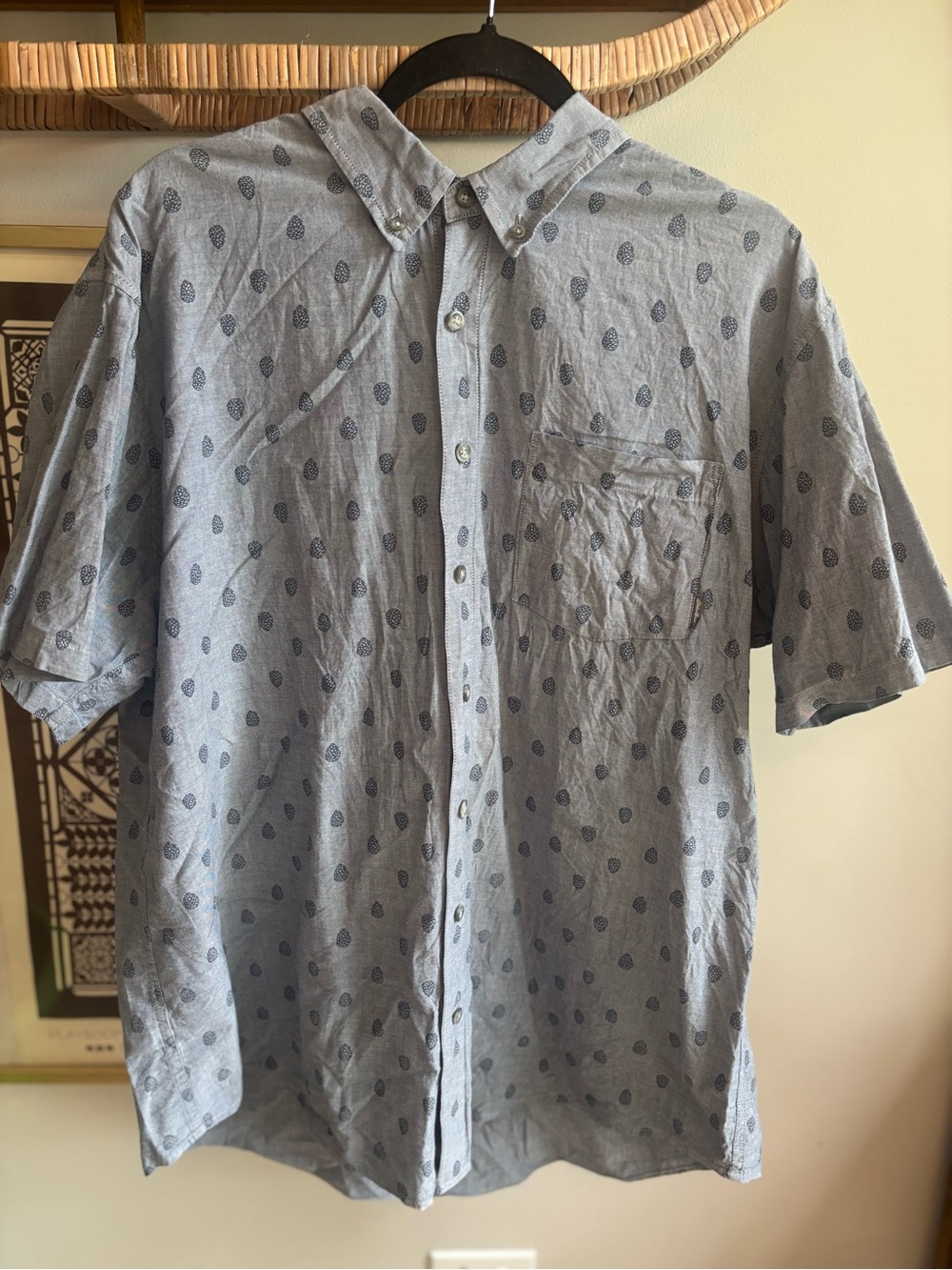 Eddie Bauer Light Gray Short-Sleeve Button-Down Shirt